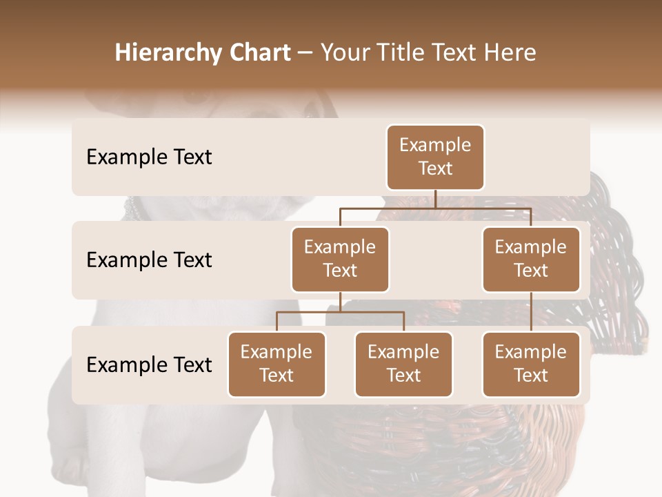 Helping Hand Care Senior PowerPoint Template