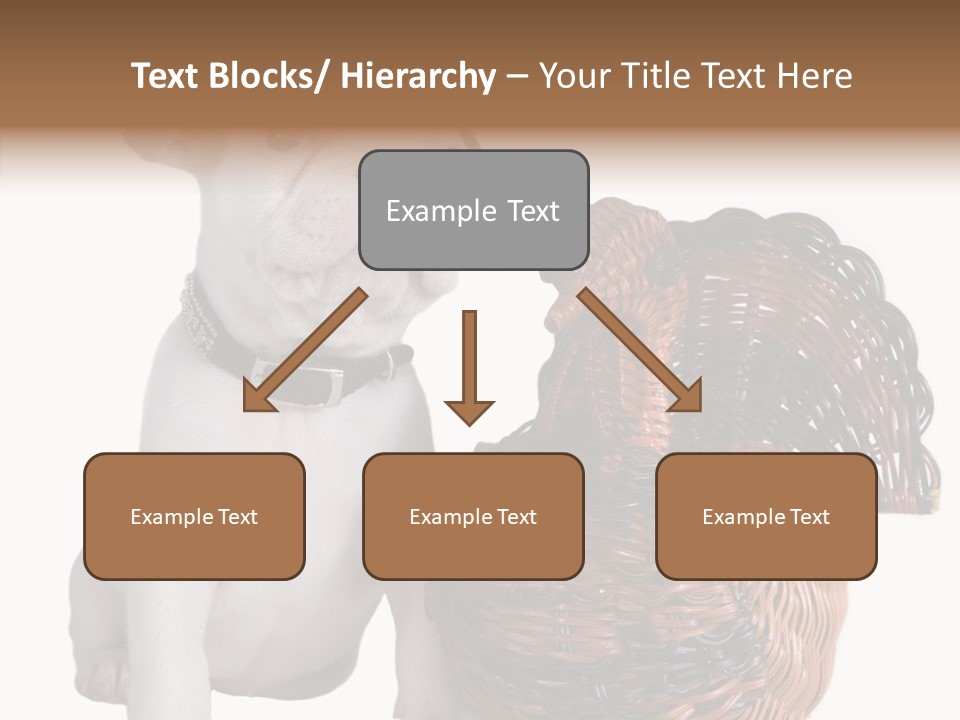 Helping Hand Care Senior PowerPoint Template