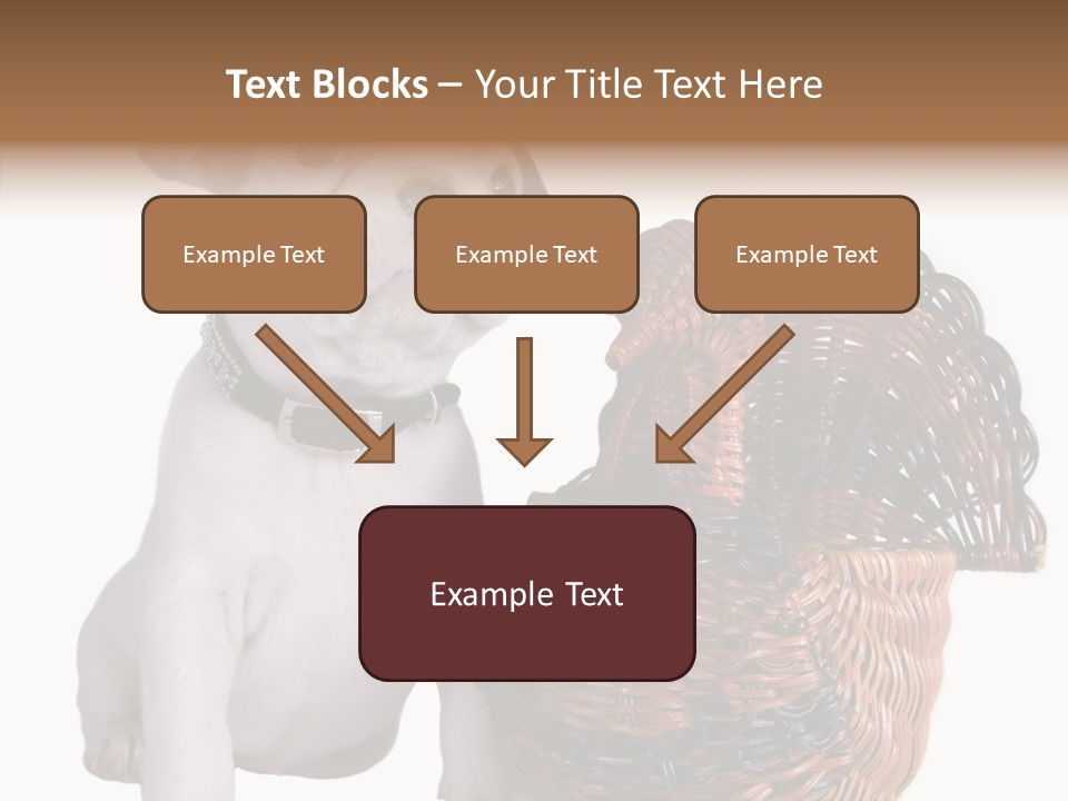 Helping Hand Care Senior PowerPoint Template