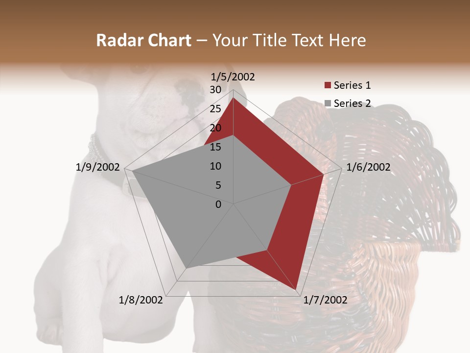 Helping Hand Care Senior PowerPoint Template
