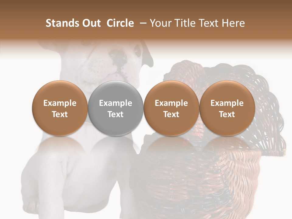 Helping Hand Care Senior PowerPoint Template