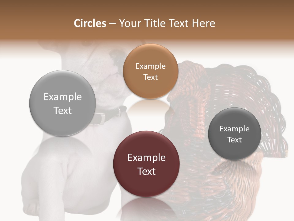 Helping Hand Care Senior PowerPoint Template