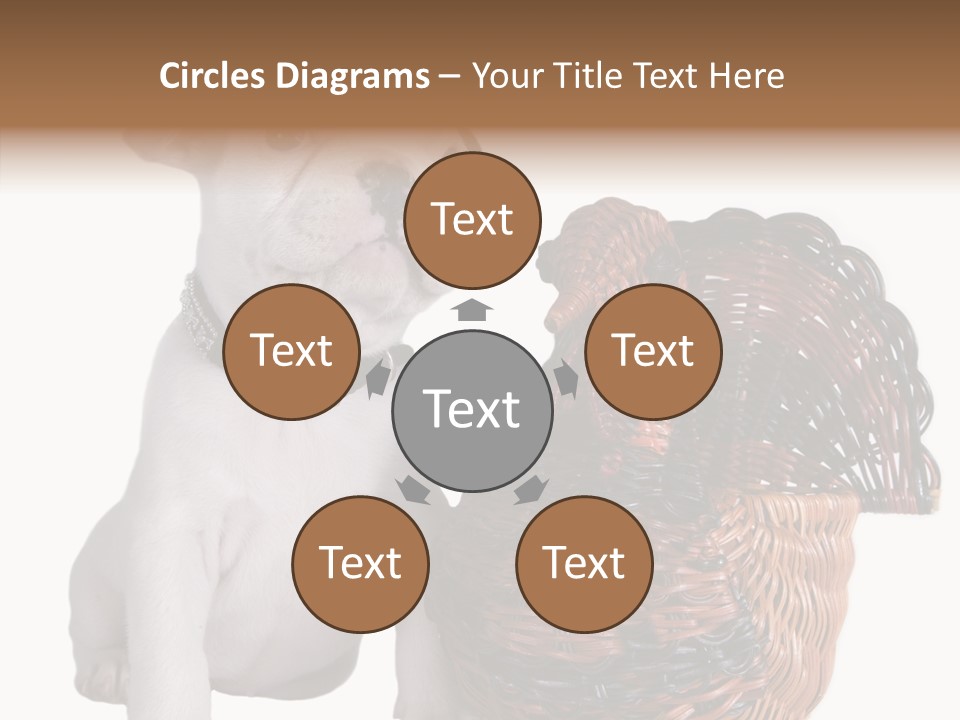 Helping Hand Care Senior PowerPoint Template