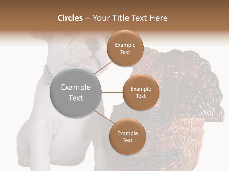 Helping Hand Care Senior PowerPoint Template