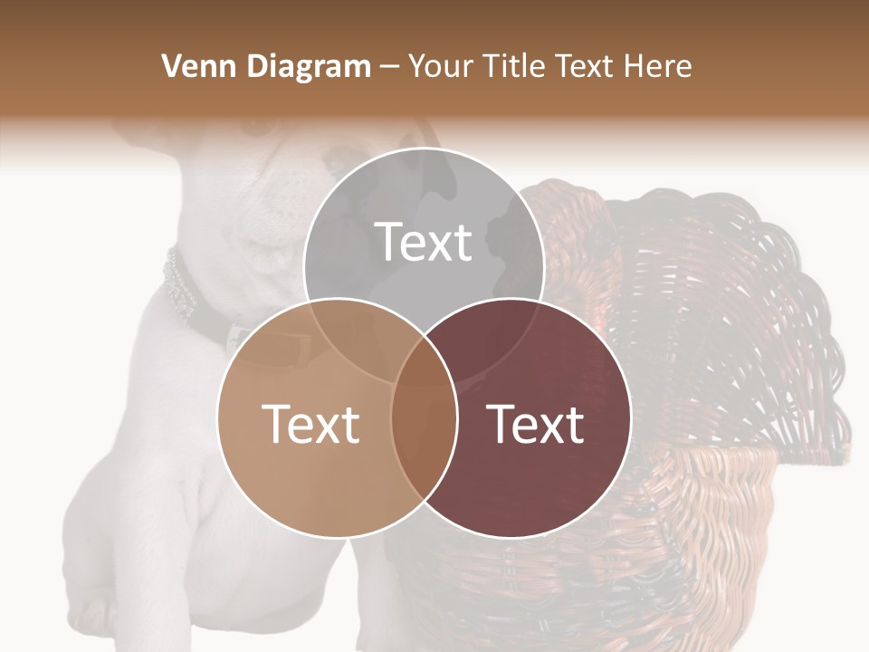 Helping Hand Care Senior PowerPoint Template