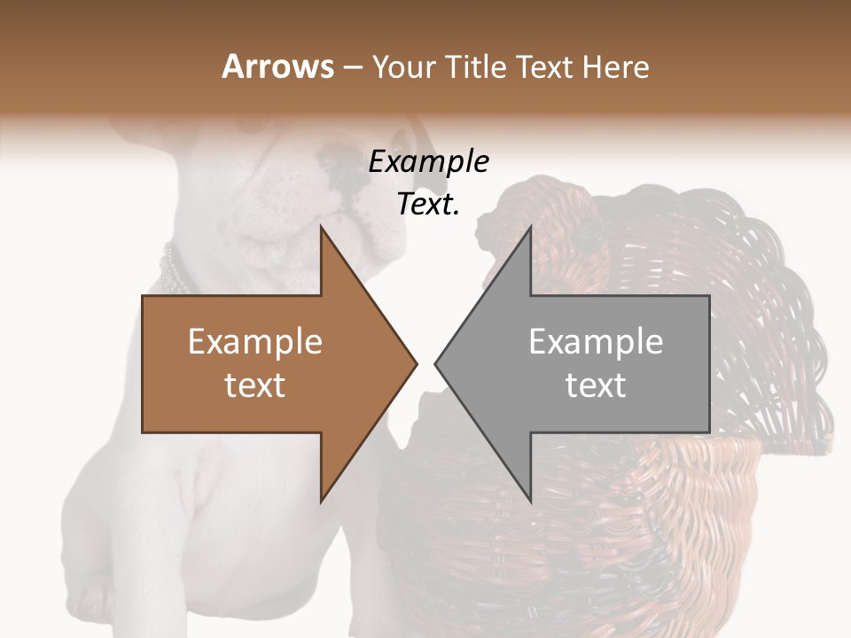 Helping Hand Care Senior PowerPoint Template