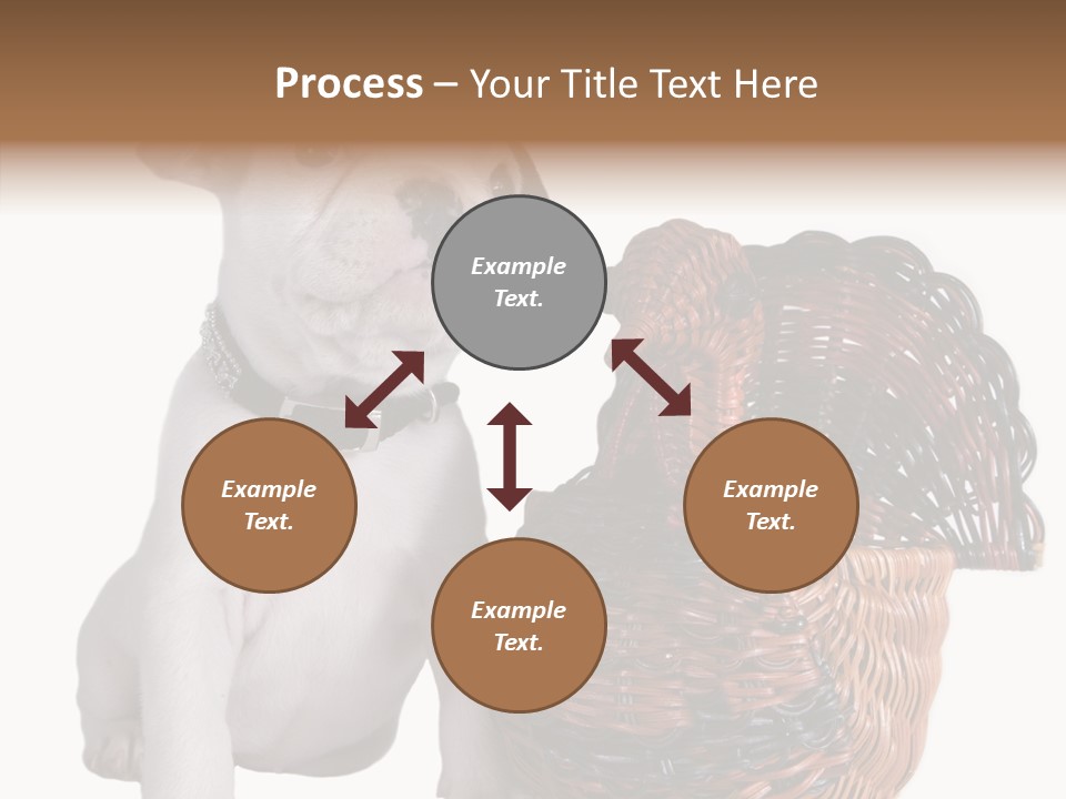Helping Hand Care Senior PowerPoint Template