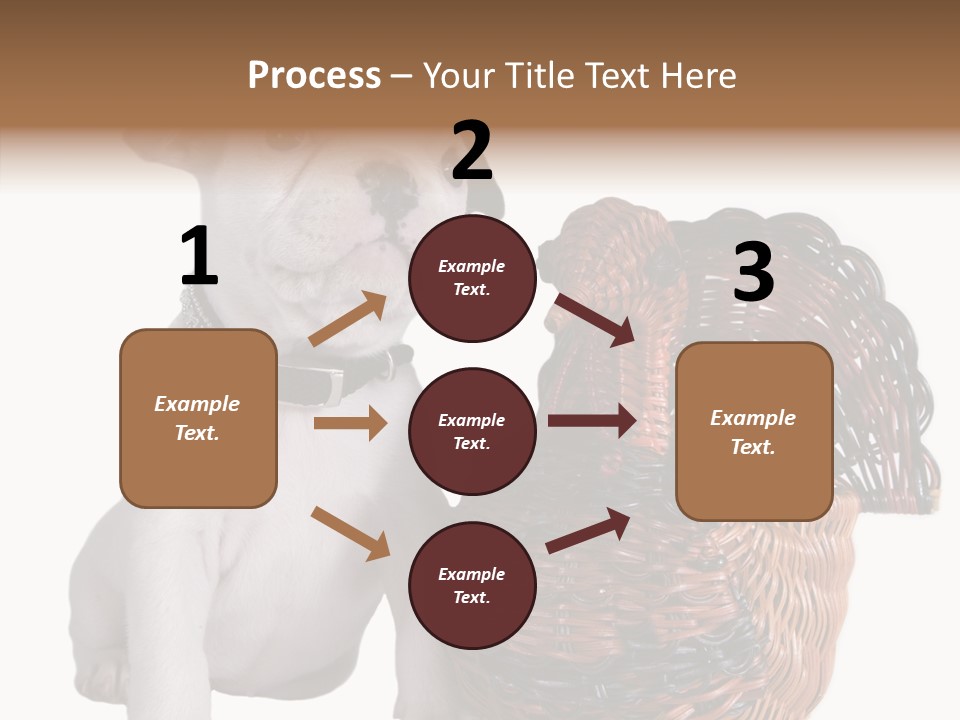 Helping Hand Care Senior PowerPoint Template