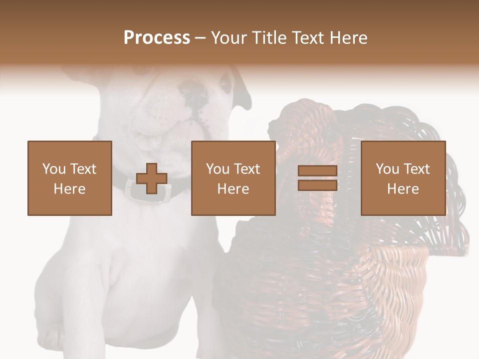 Helping Hand Care Senior PowerPoint Template