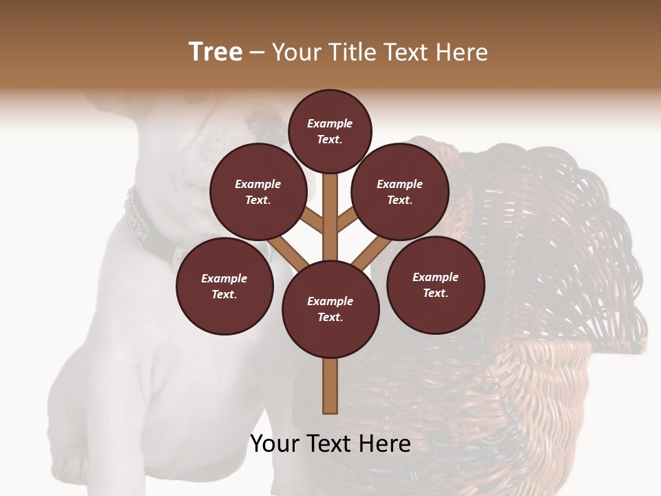 Helping Hand Care Senior PowerPoint Template