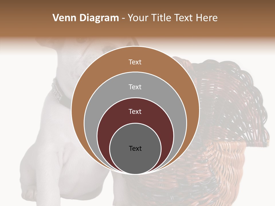 Helping Hand Care Senior PowerPoint Template