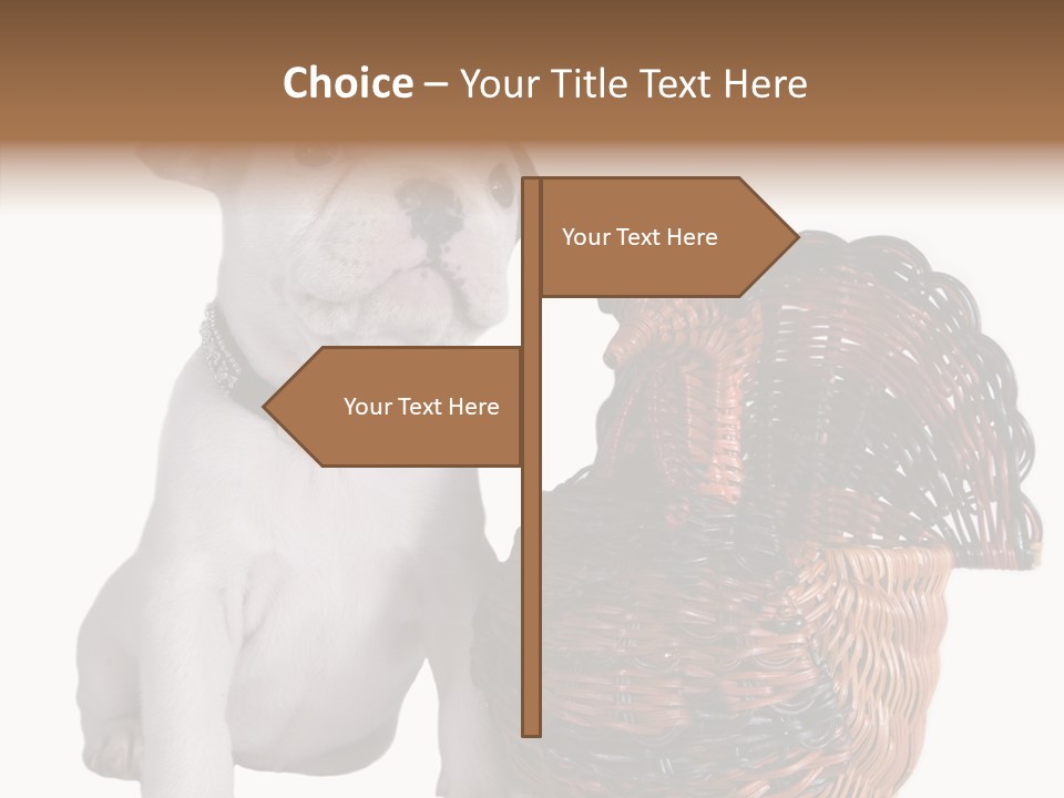 Helping Hand Care Senior PowerPoint Template