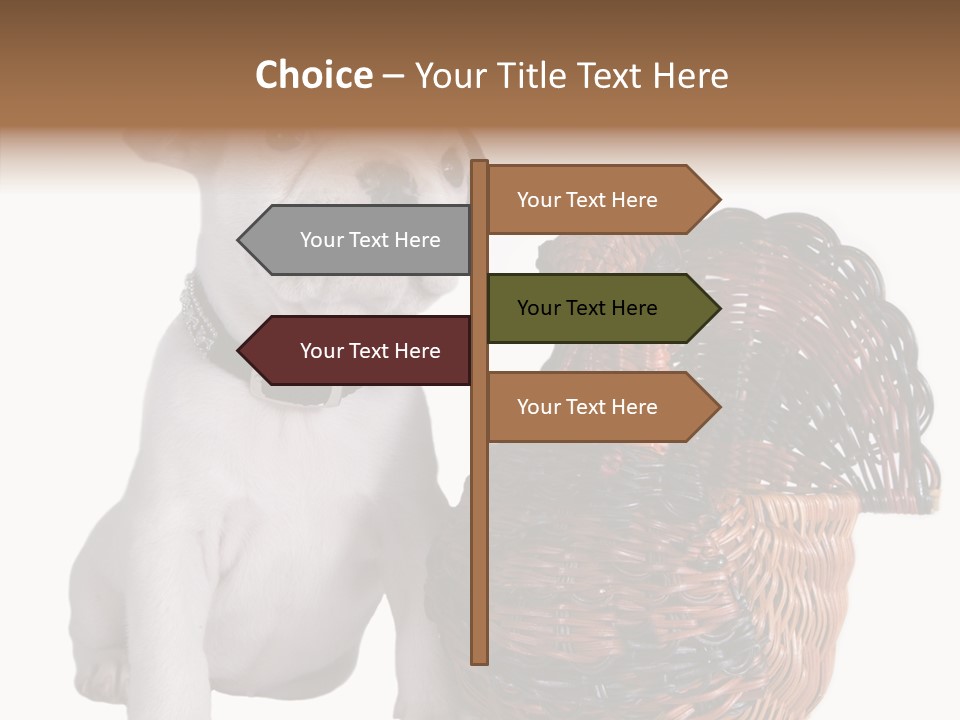 Helping Hand Care Senior PowerPoint Template