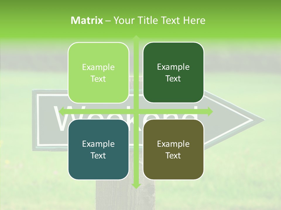 Care Grandmother Hold PowerPoint Template