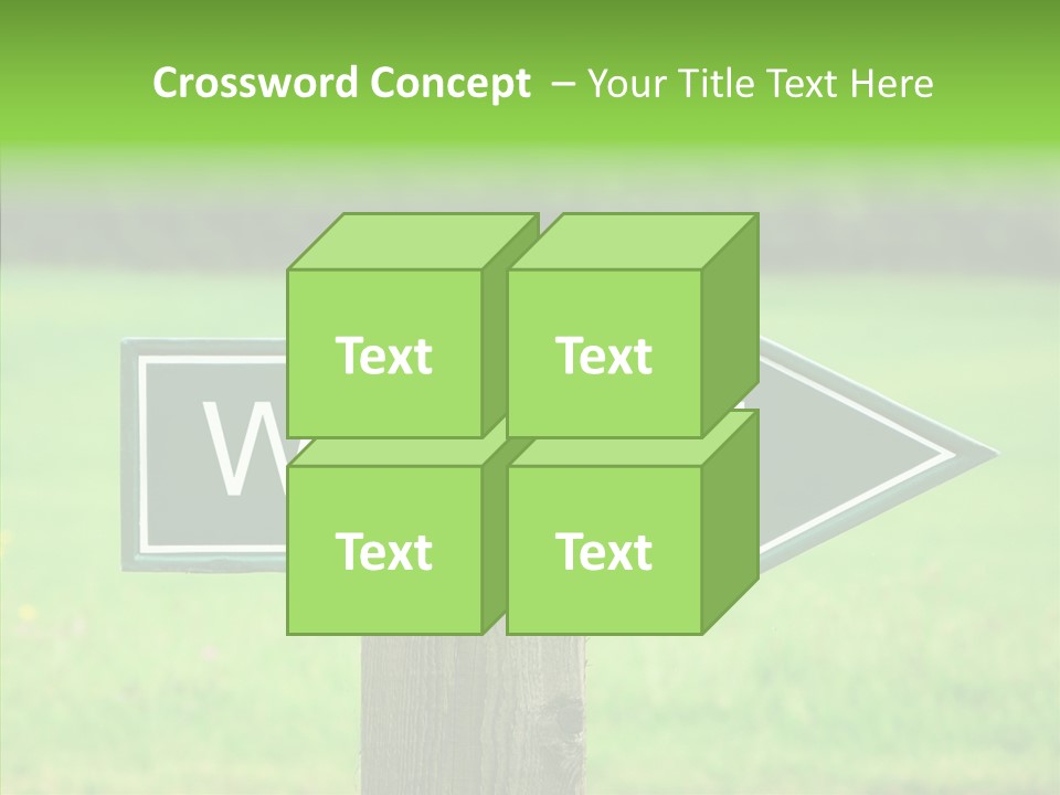 Care Grandmother Hold PowerPoint Template
