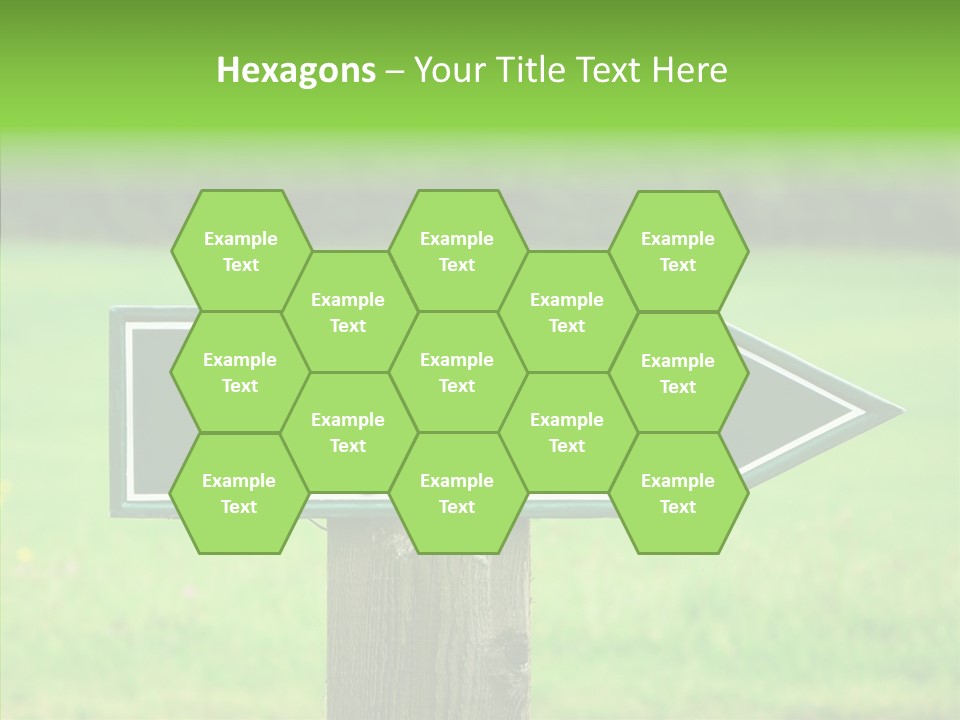 Care Grandmother Hold PowerPoint Template