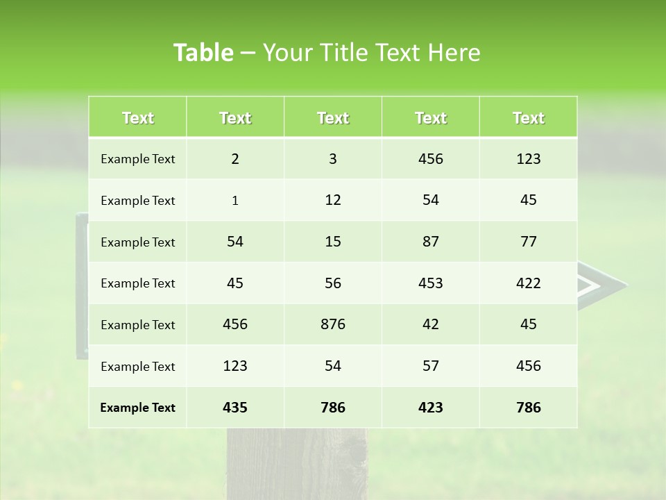 Care Grandmother Hold PowerPoint Template