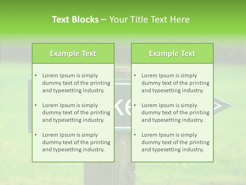 Care Grandmother Hold PowerPoint Template