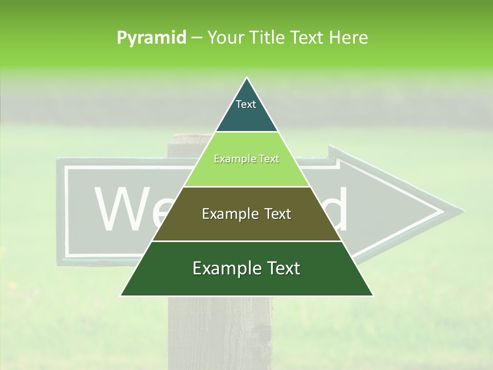 Care Grandmother Hold PowerPoint Template