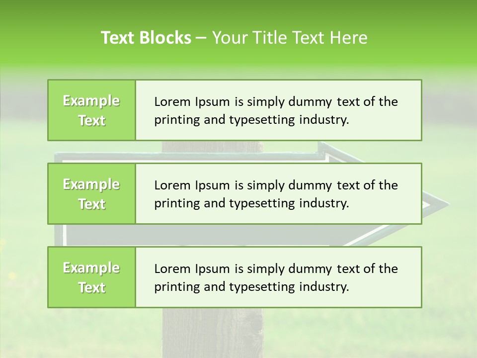 Care Grandmother Hold PowerPoint Template