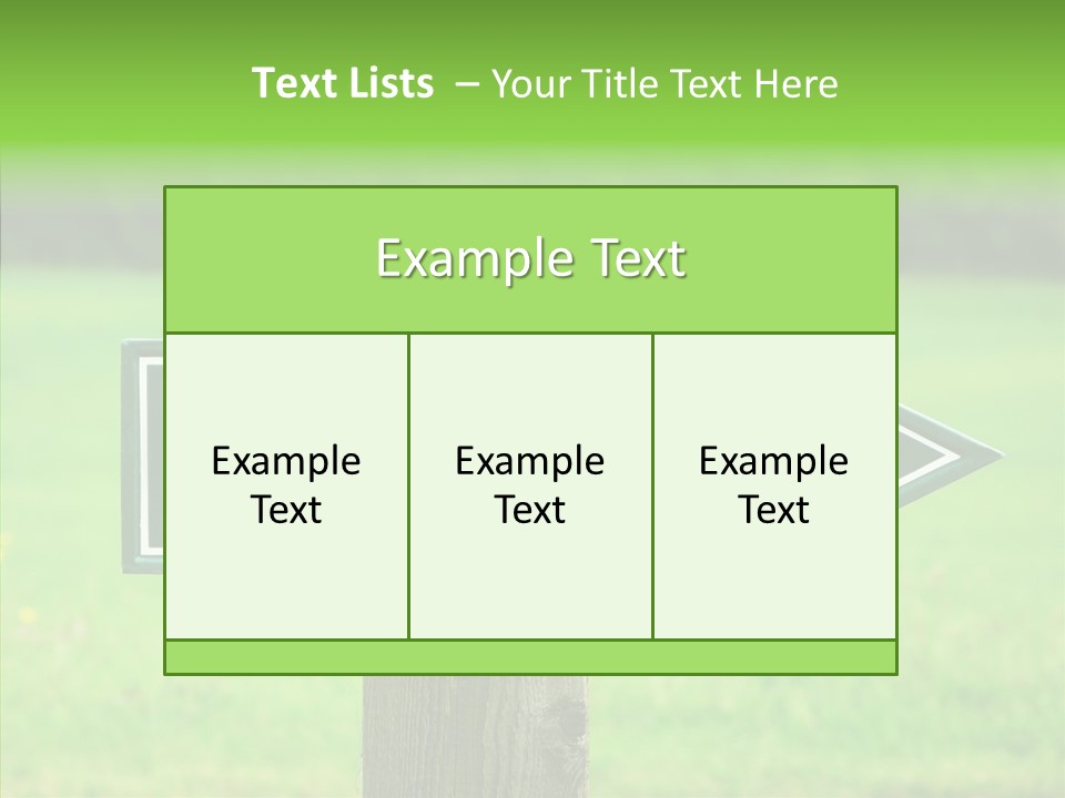Care Grandmother Hold PowerPoint Template