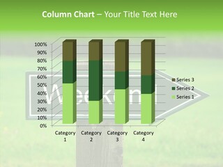 Care Grandmother Hold PowerPoint Template