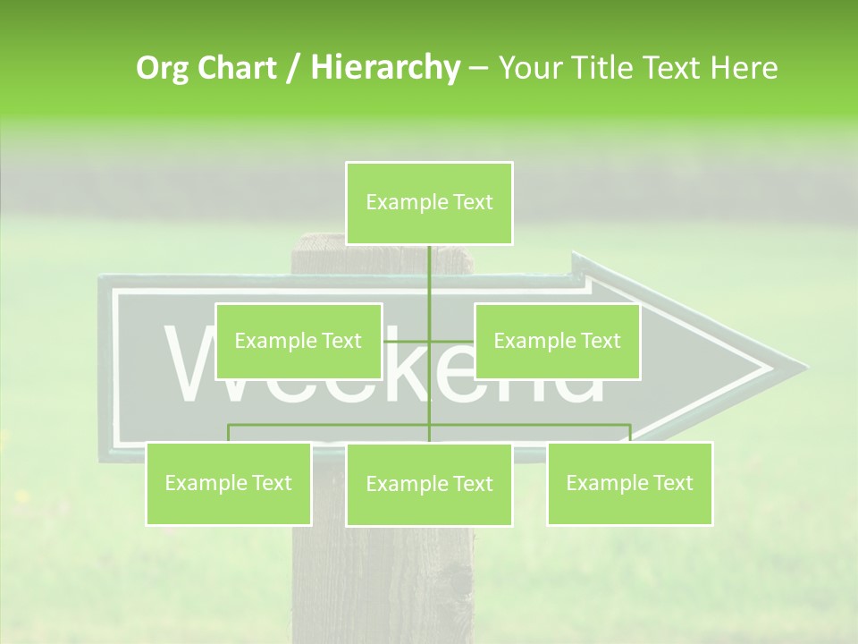 Care Grandmother Hold PowerPoint Template