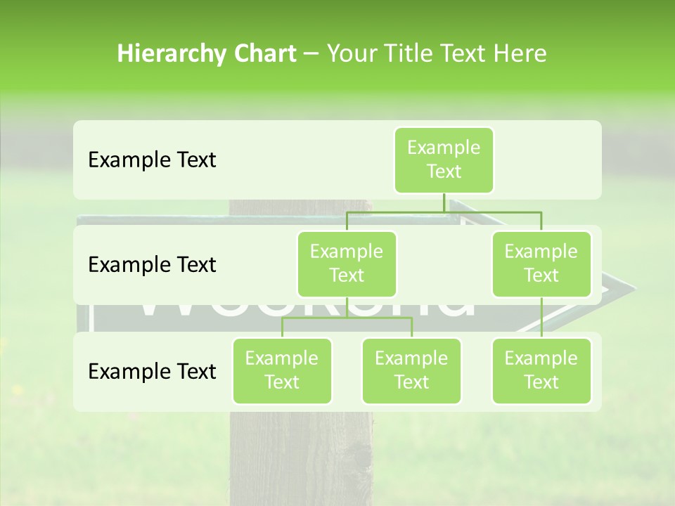 Care Grandmother Hold PowerPoint Template