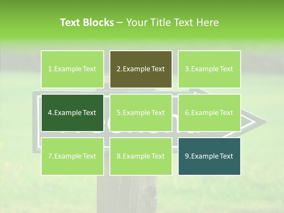 Care Grandmother Hold PowerPoint Template