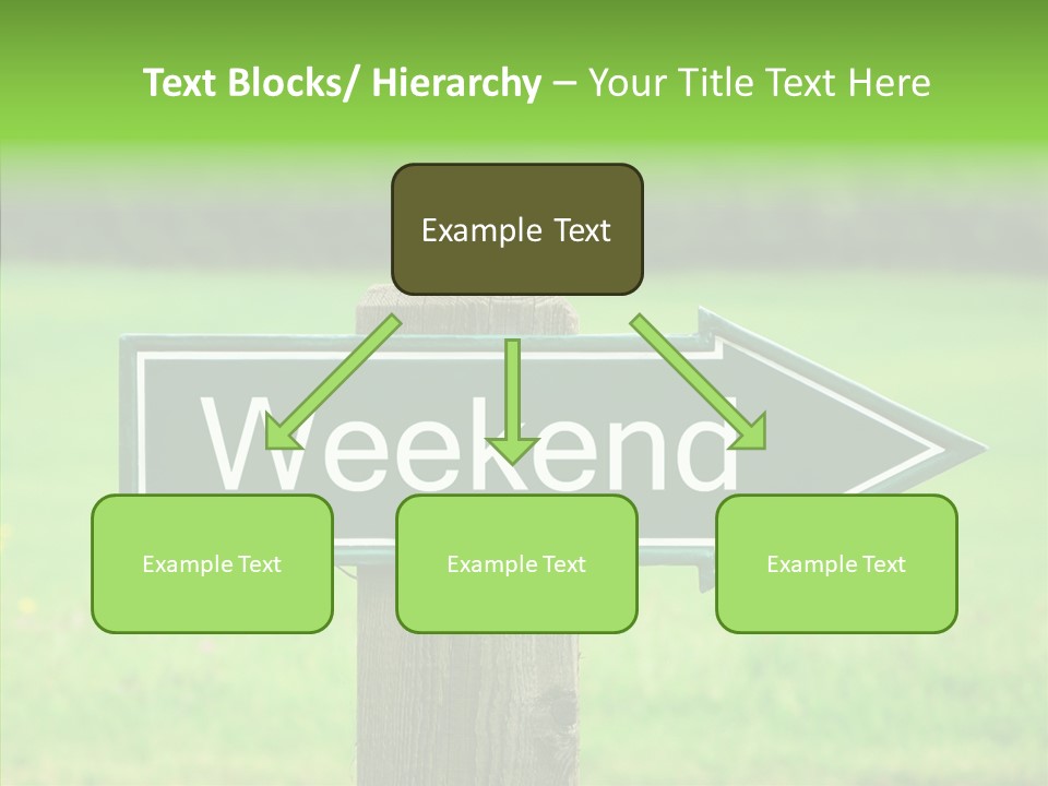 Care Grandmother Hold PowerPoint Template