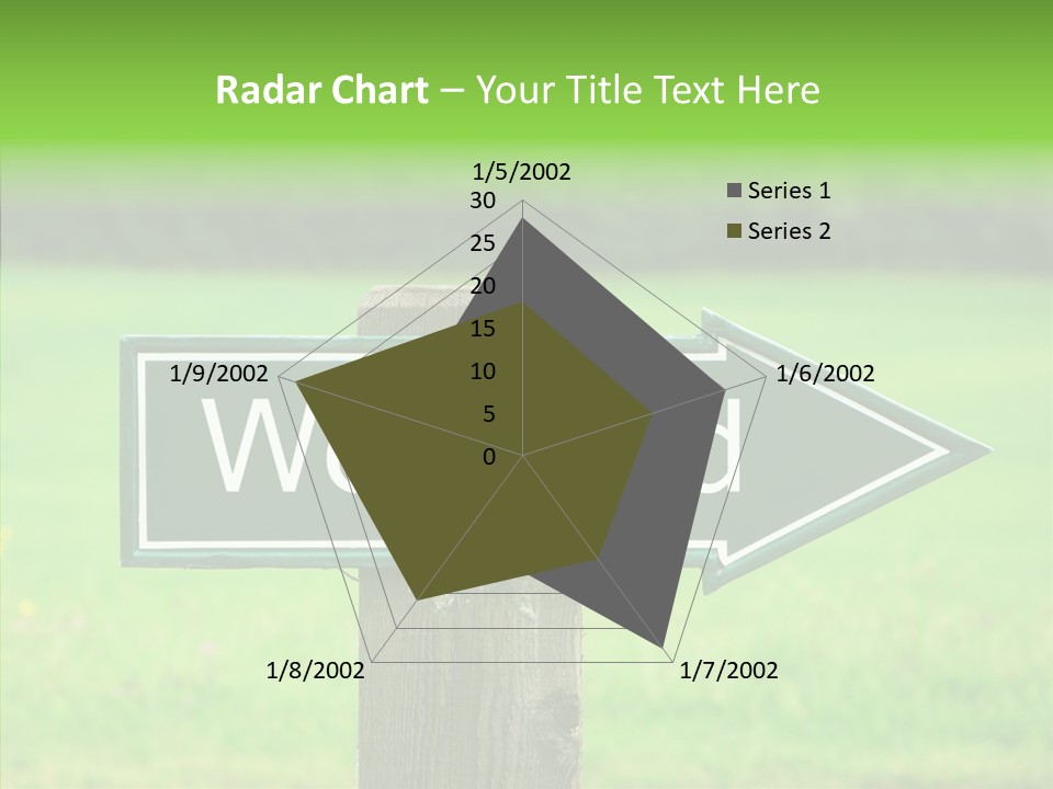 Care Grandmother Hold PowerPoint Template