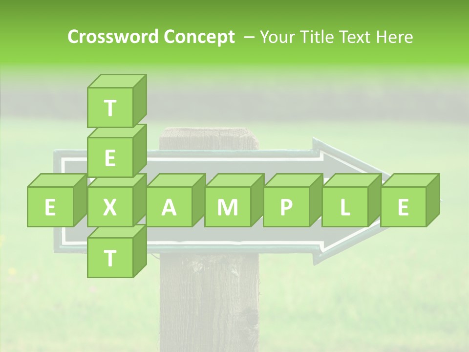 Care Grandmother Hold PowerPoint Template