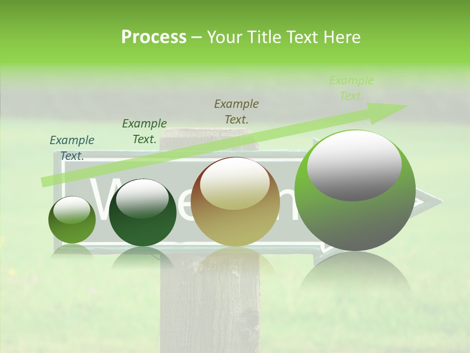 Care Grandmother Hold PowerPoint Template