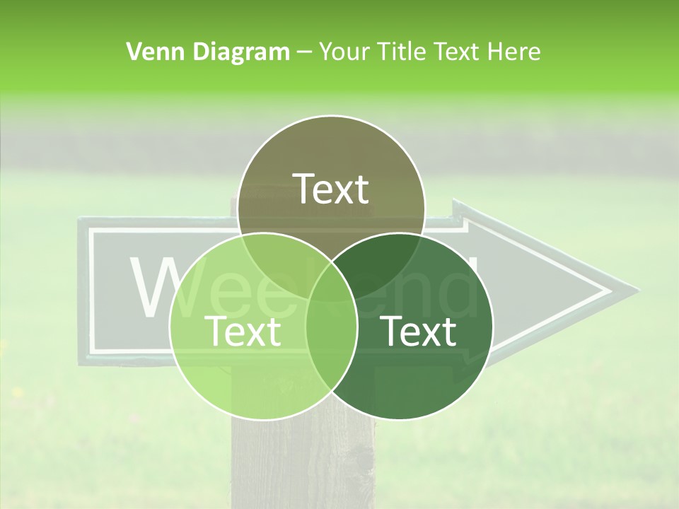 Care Grandmother Hold PowerPoint Template