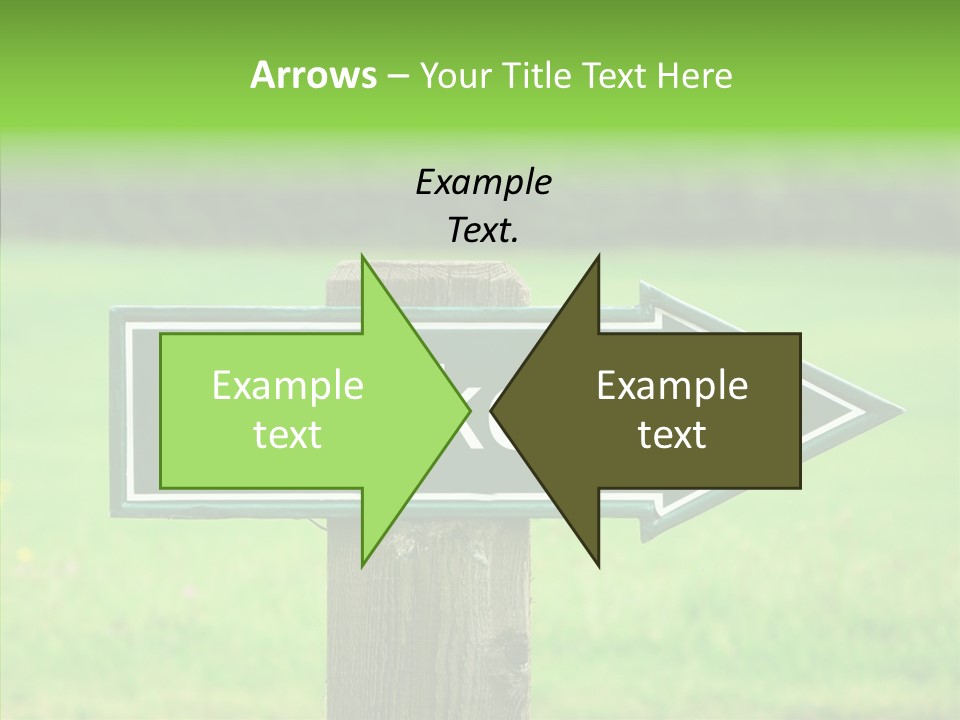 Care Grandmother Hold PowerPoint Template