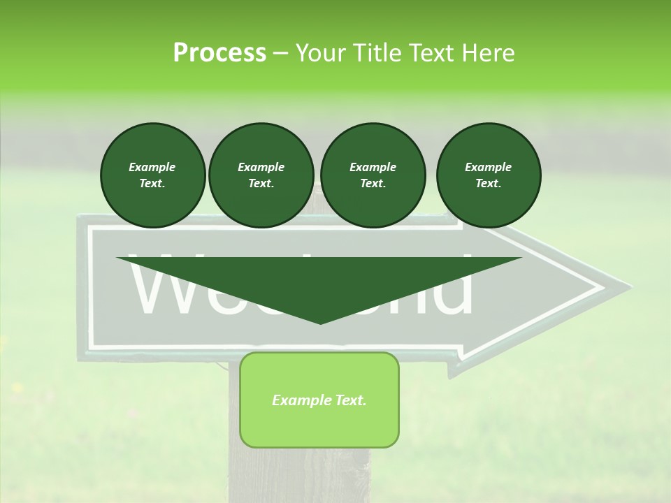 Care Grandmother Hold PowerPoint Template