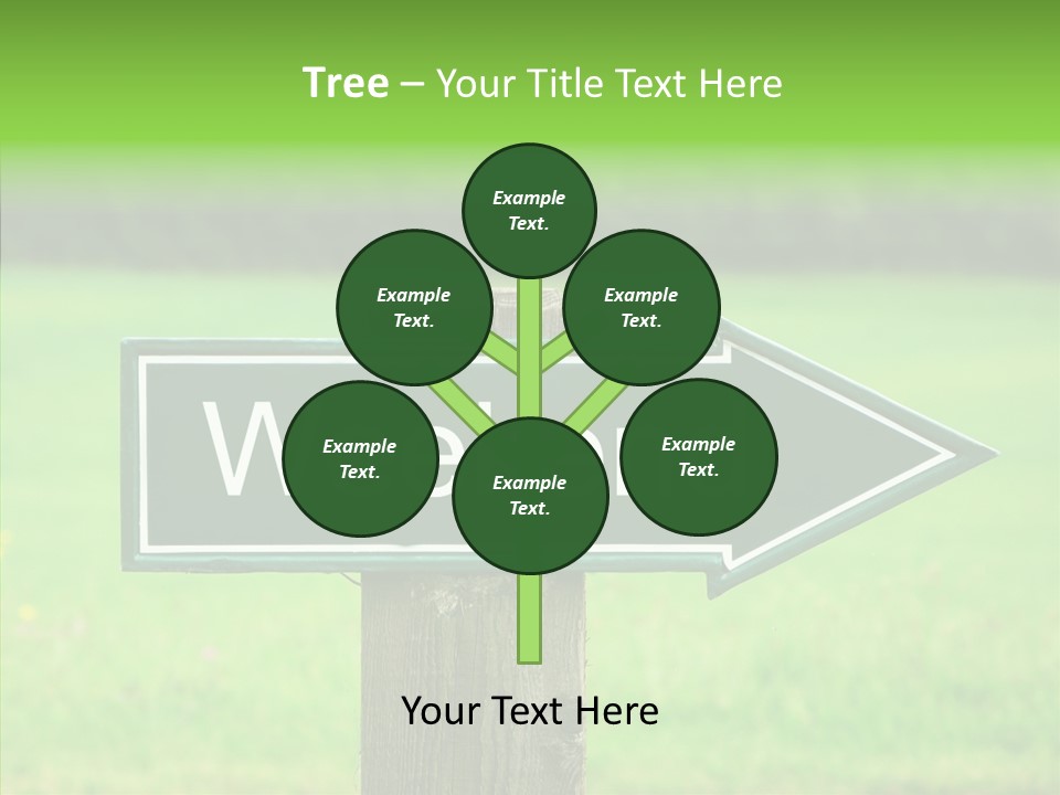 Care Grandmother Hold PowerPoint Template