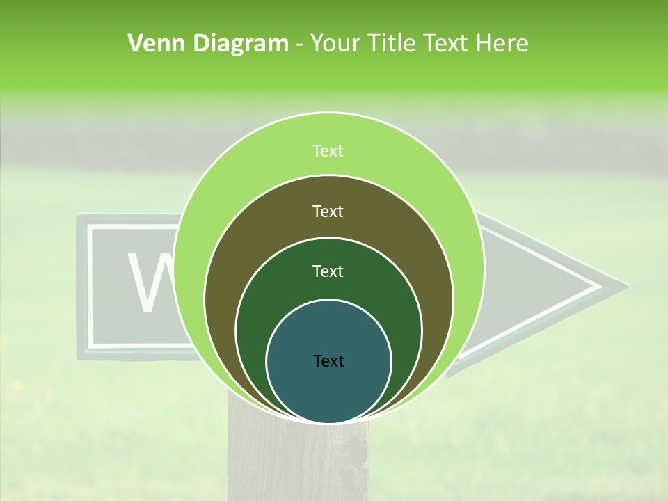 Care Grandmother Hold PowerPoint Template