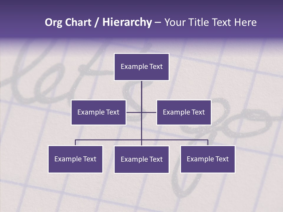 Adult Human Two PowerPoint Template