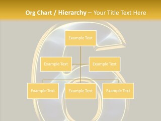 Senior  Human Two PowerPoint Template