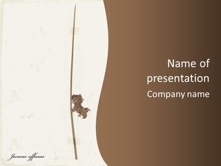 Aging Background Elder PowerPoint Template