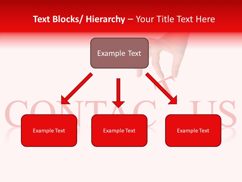 Senior  Female Elder PowerPoint Template