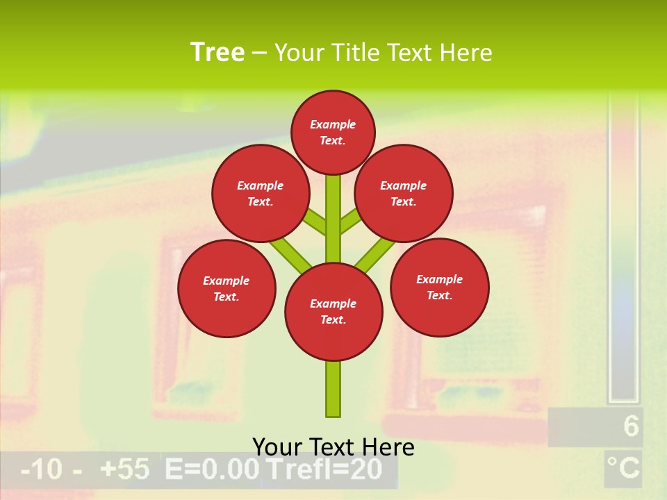 Young  Grandmother PowerPoint Template