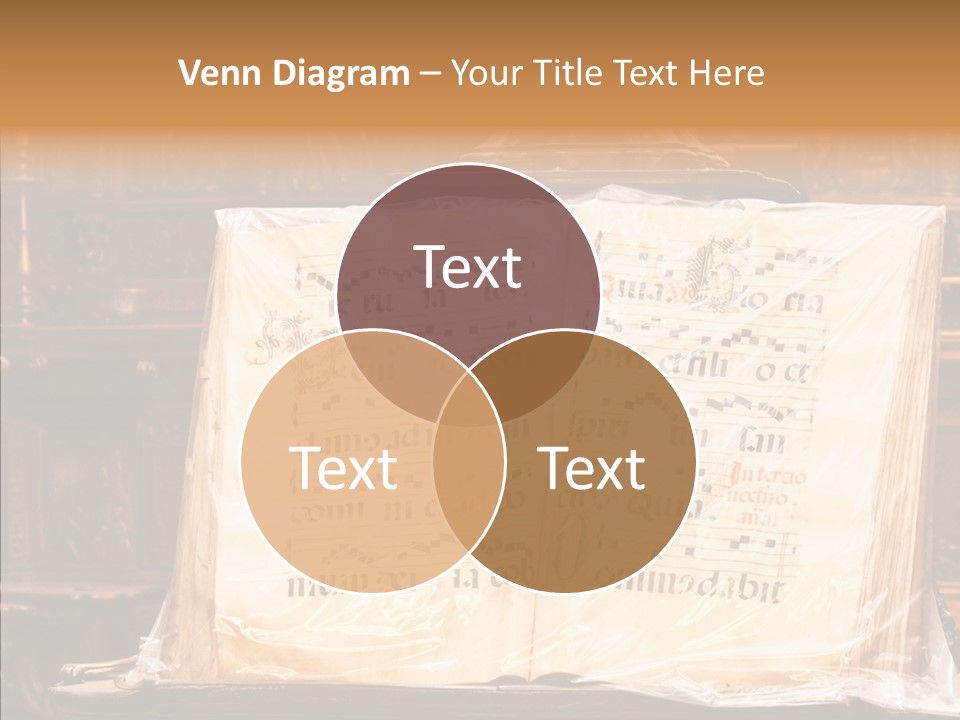 Aging Elder Help PowerPoint Template