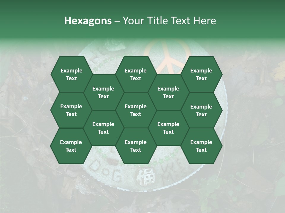 Adult Aging Hold PowerPoint Template