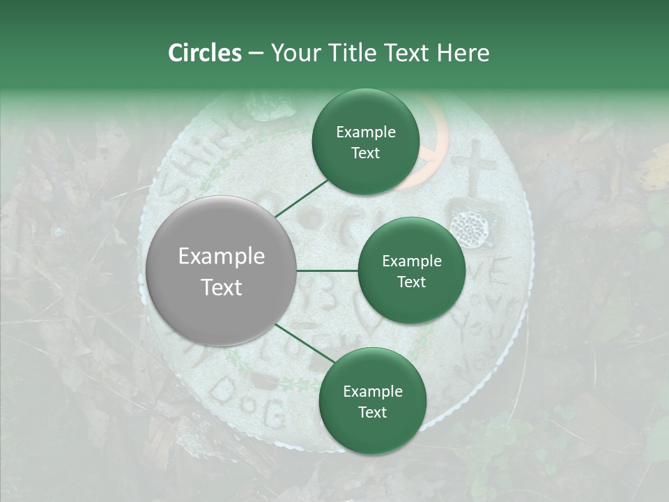 Adult Aging Hold PowerPoint Template