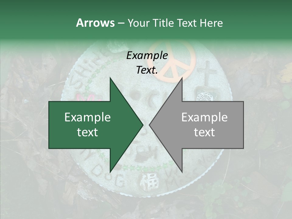 Adult Aging Hold PowerPoint Template