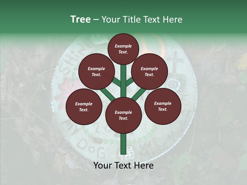 Adult Aging Hold PowerPoint Template