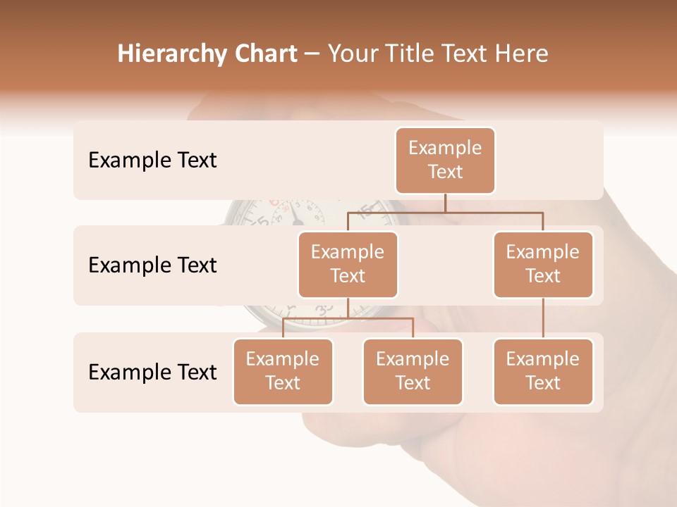 Senior  Human Two PowerPoint Template