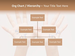 Hand Hold Holding Hands PowerPoint Template